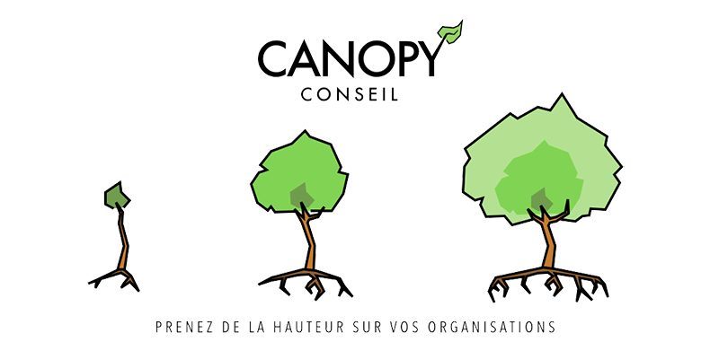 CANOPY conseil